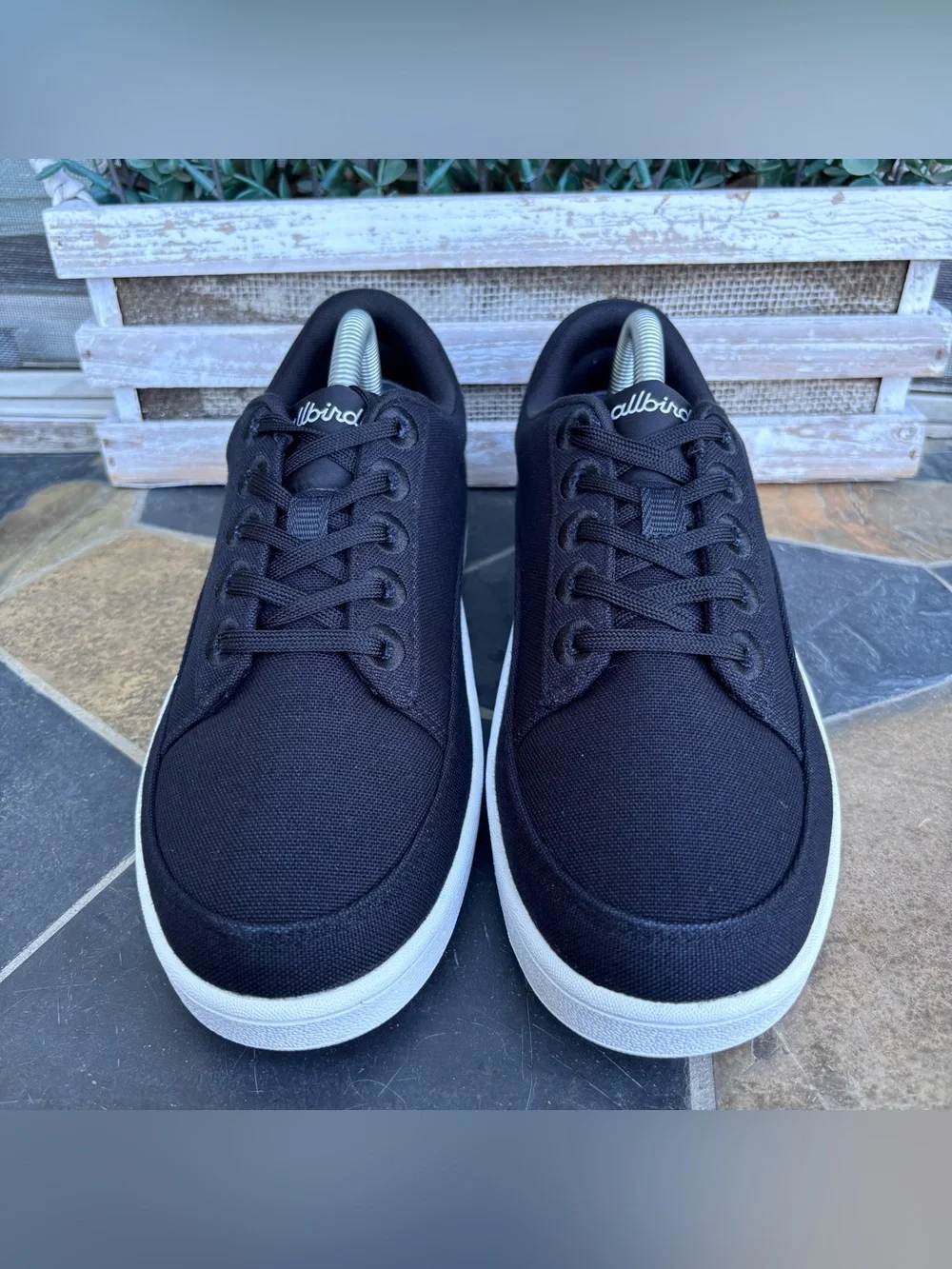 Allbirds Canvas Pacer Sneakers in Black